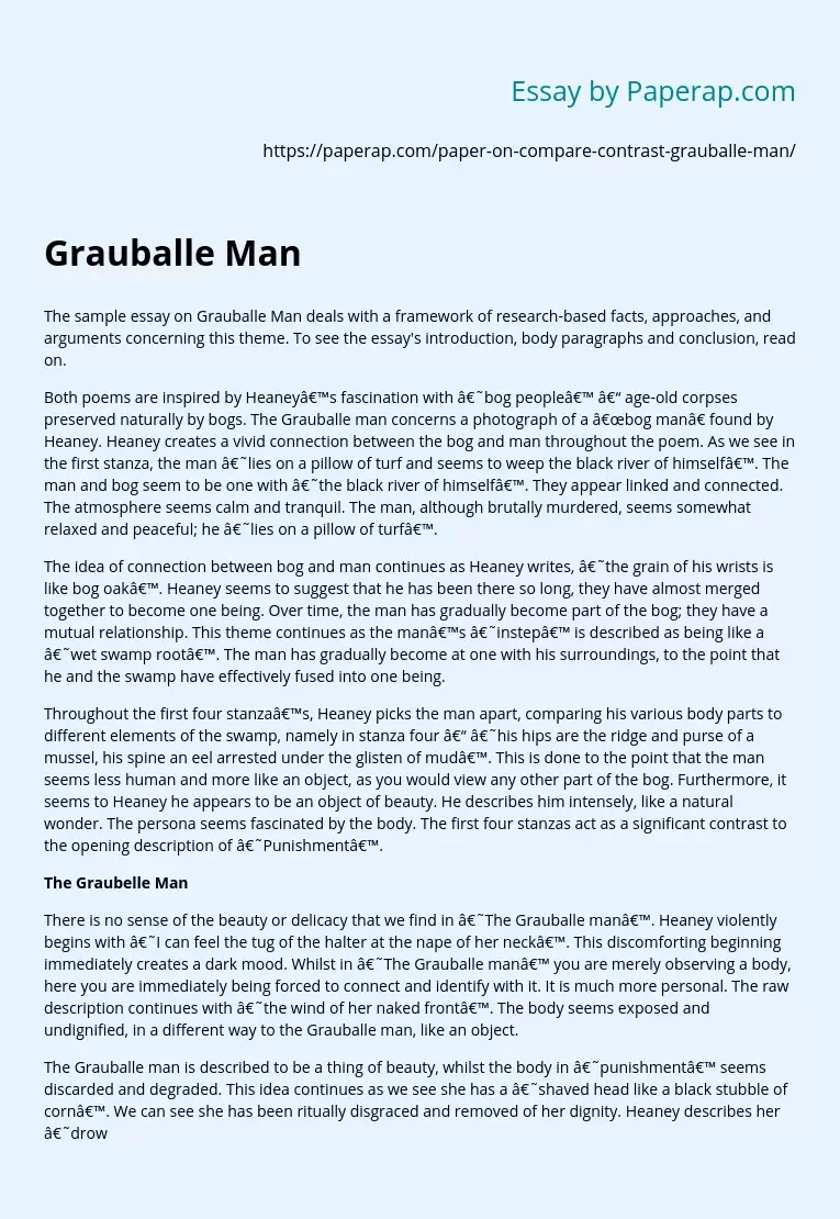 Grauballe Man: Research-based Analysis