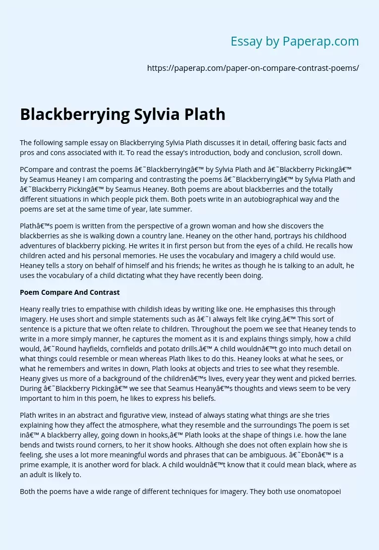 Blackberrying Sylvia Plath