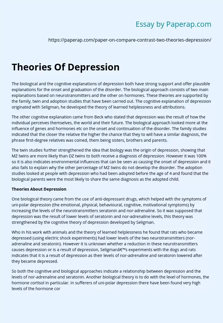 Theories Of Depression