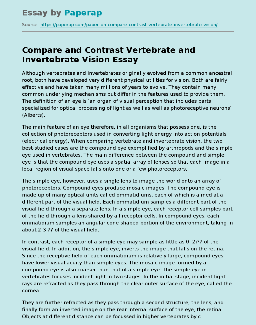 Compare and Contrast Vertebrate and Invertebrate Vision