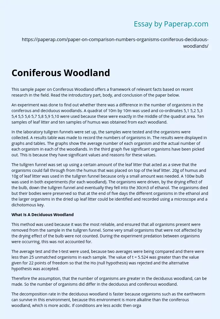Sample Paper on Coniferous Woodland