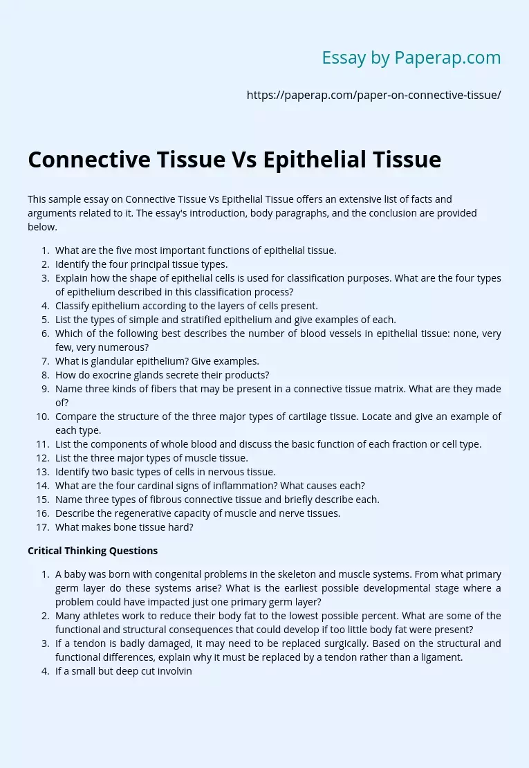 Connective Tissue Vs Epithelial Tissue