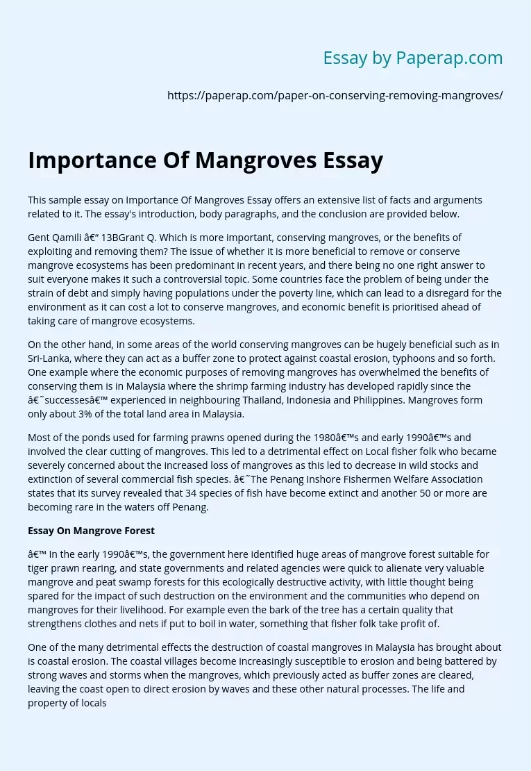 Importance Of Mangroves Essay
