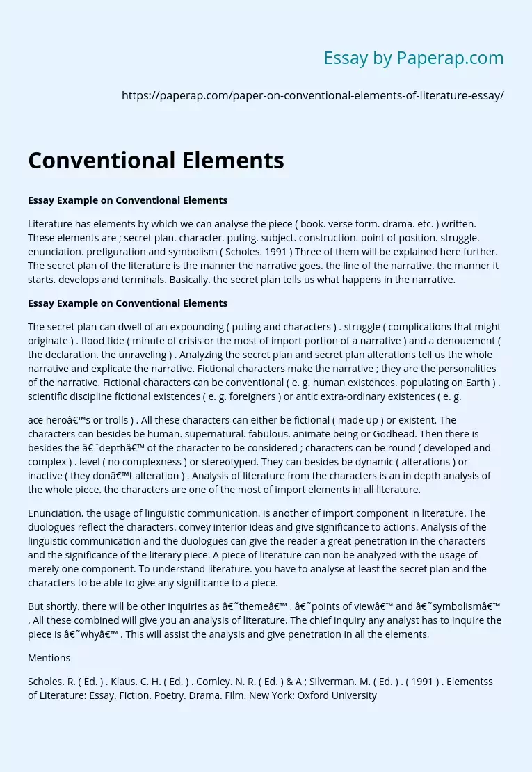 Essay Example on Conventional Elements