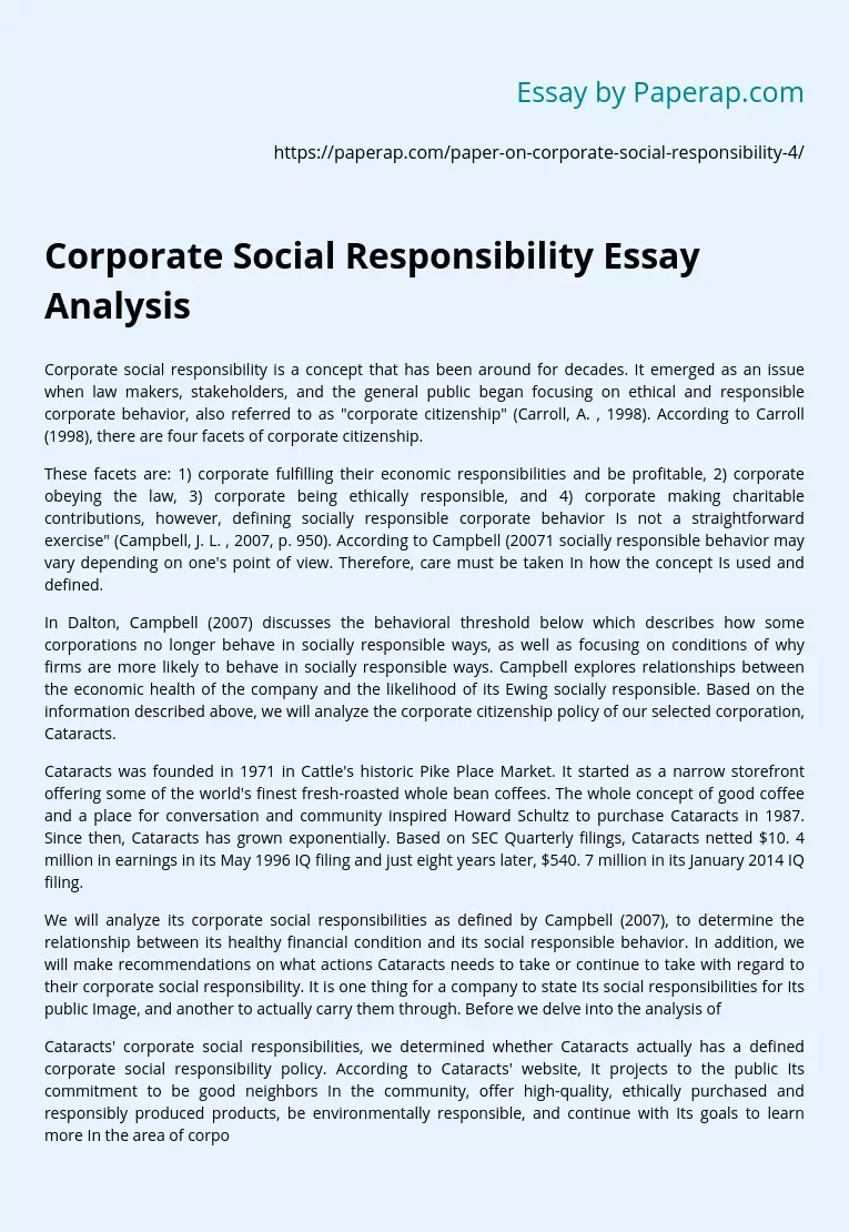 Corporate Social Responsibility Essay Analysis