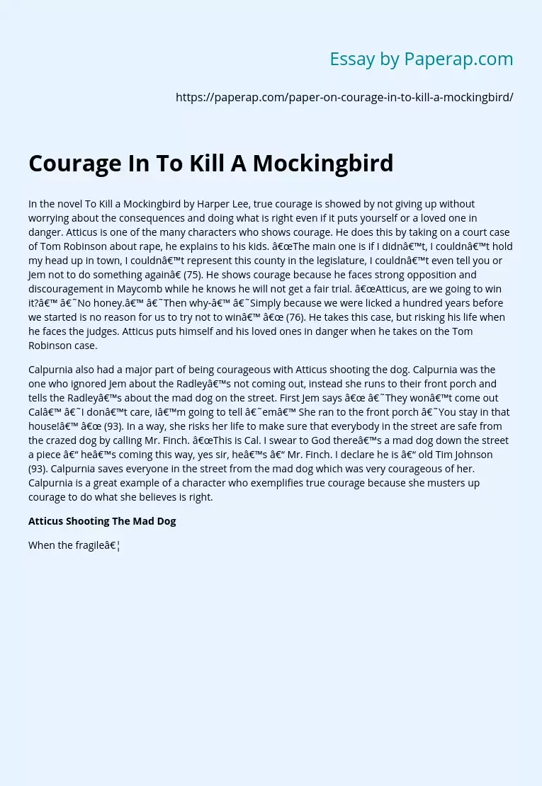 to kill a mockingbird courage essay