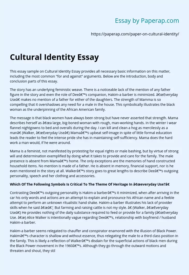 Cultural Identity Essay