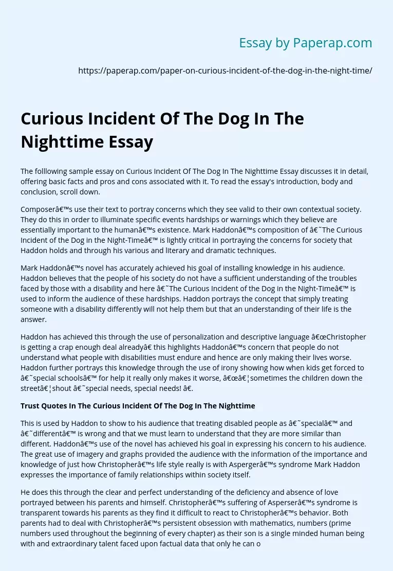 Curious Incident Of The Dog In The Nighttime Essay