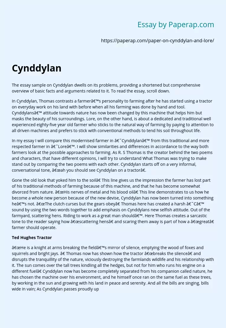Cynddylan Poem and Lore Analysis