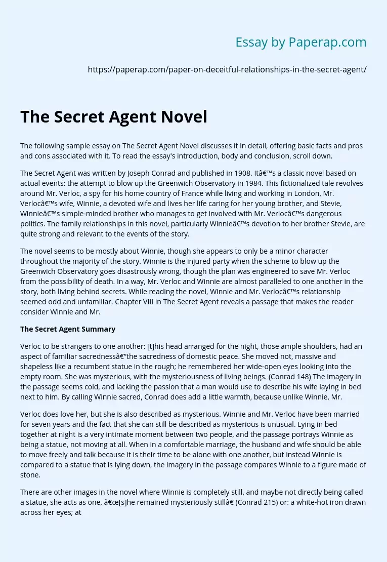 The Secret Agent Novel