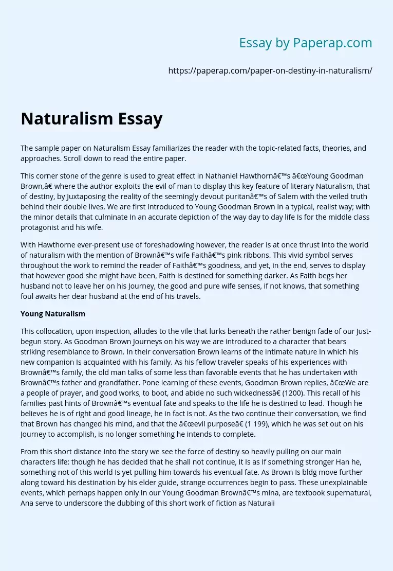 What Is Naturalism and Its Characteristics