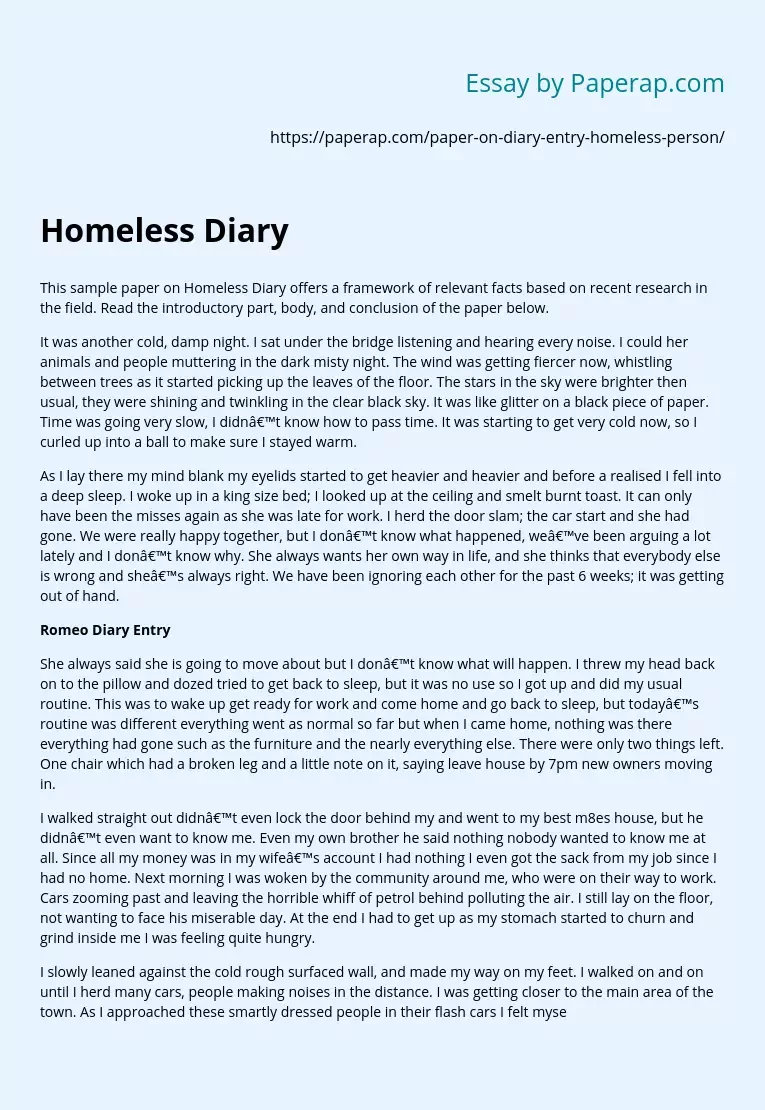Homeless Person's Diary Entry Analysis