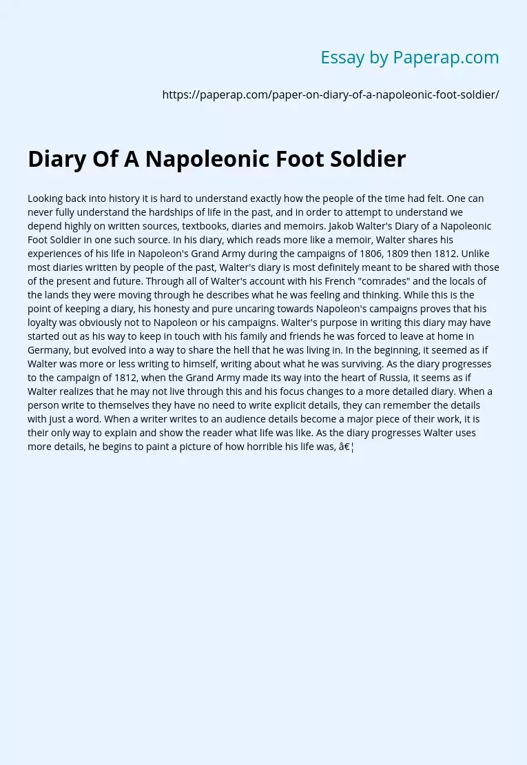 Diary Of A Napoleonic Foot Soldier