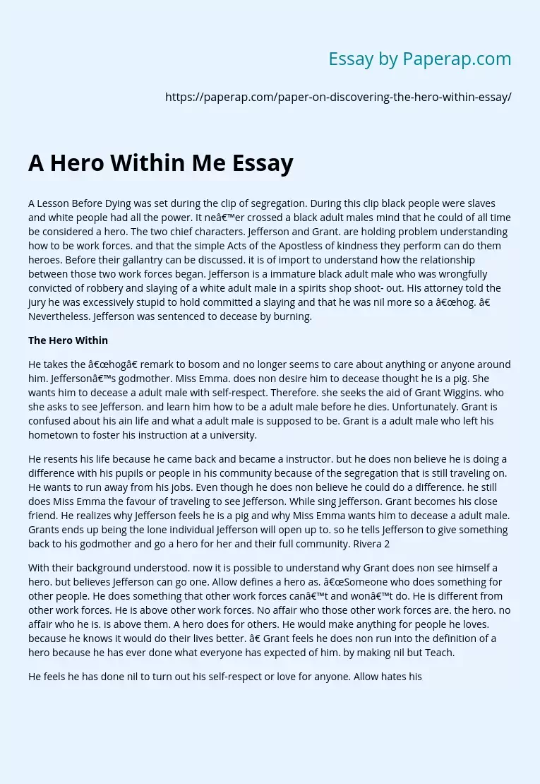 A Hero Within Me Essay
