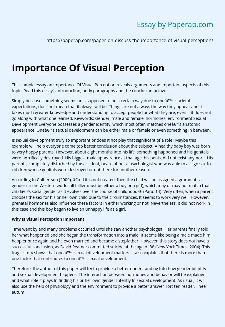 Importance Of Visual Perception