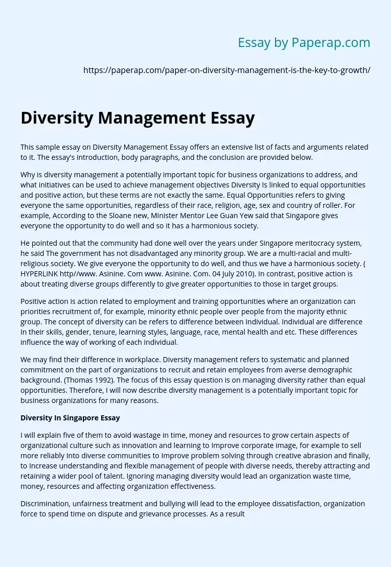 essay about diversity management