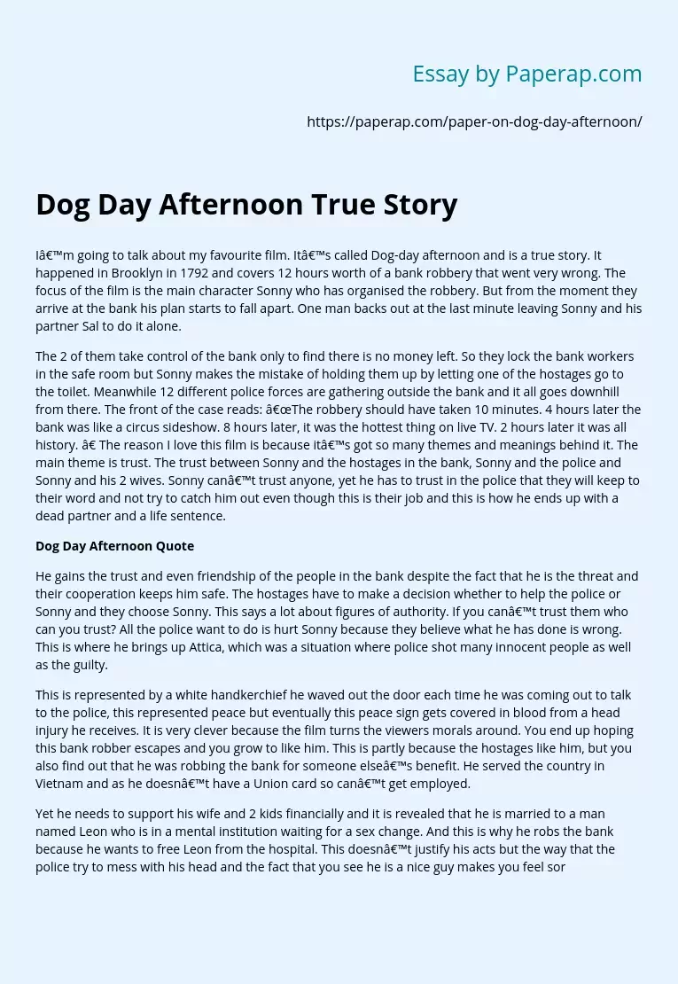 Dog Day Afternoon True Story