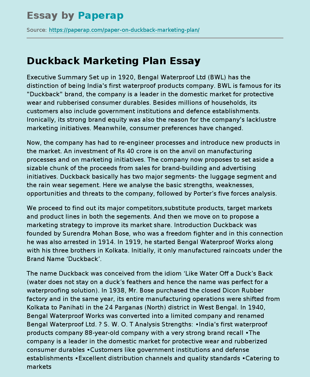 Duckback Marketing Plan
