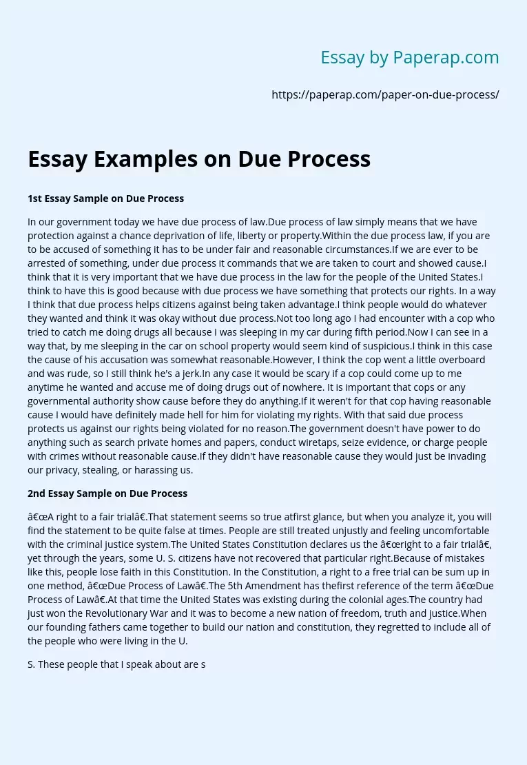 Essay Examples on Due Process