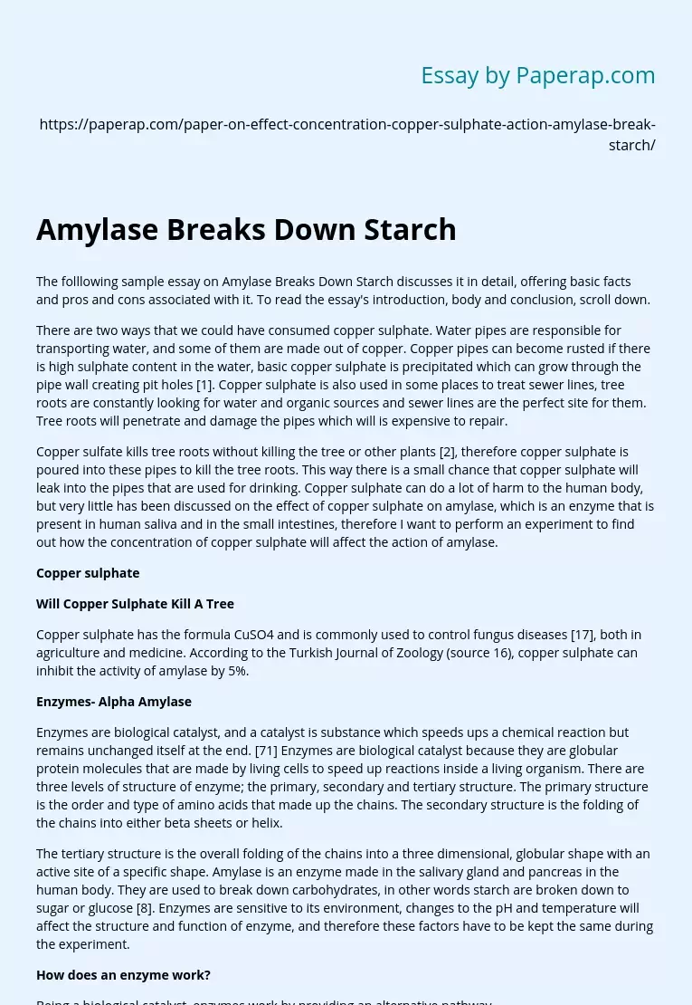 Amylase Breaks Down Starch
