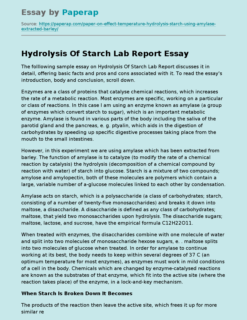Hydrolysis Of Starch Lab Report