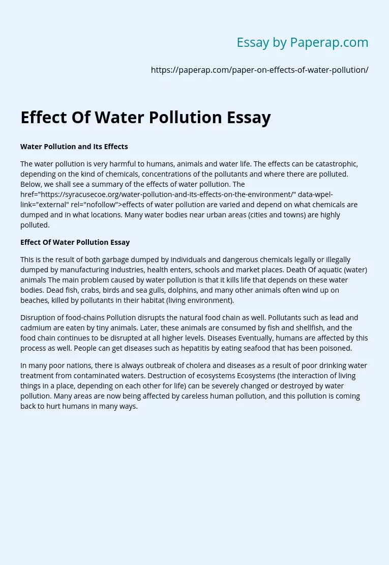 Effect Of Water Pollution Essay