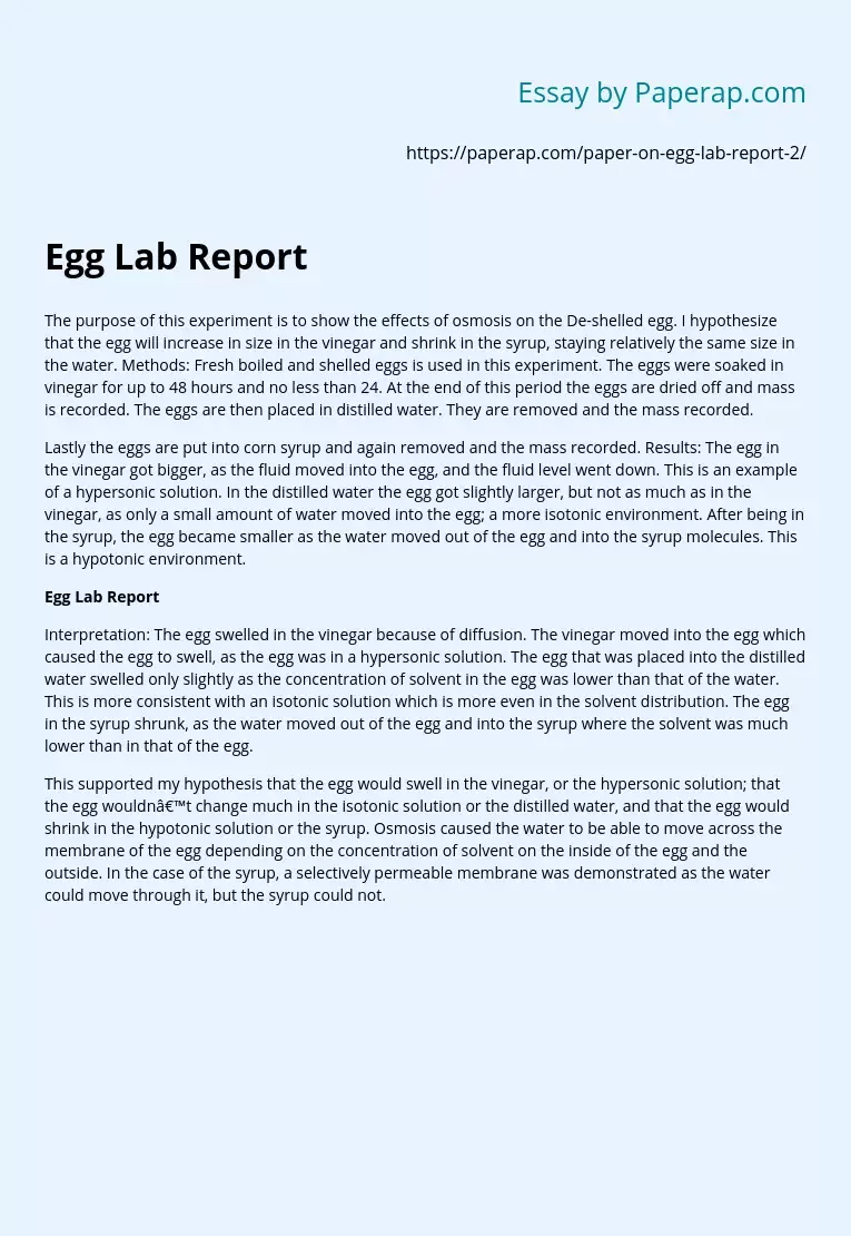 Egg Lab Report