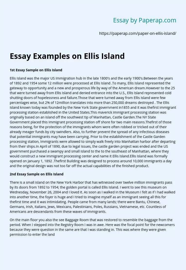 Essay Examples on Ellis Island