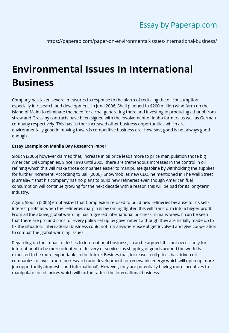 Environmental Issues In International Business