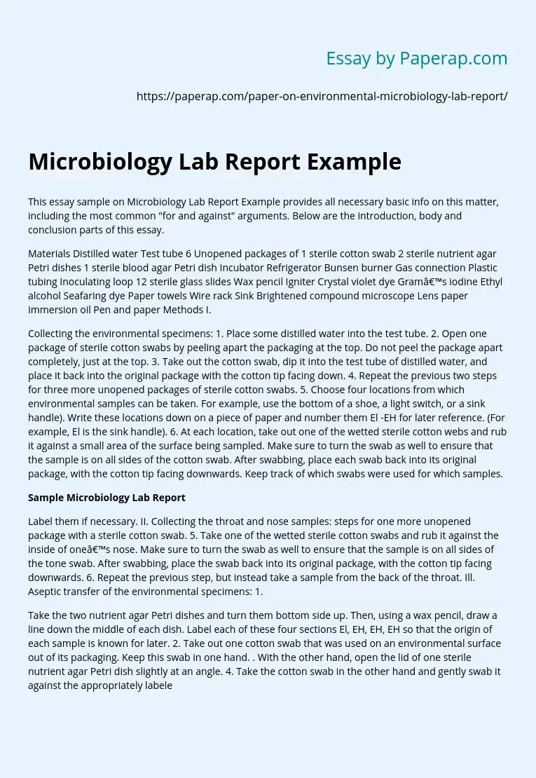 Microbiology Lab Report Example