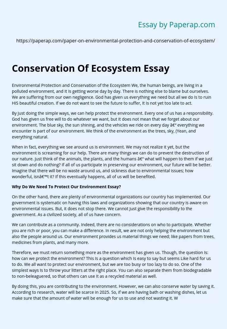 Conservation Of Ecosystem Essay