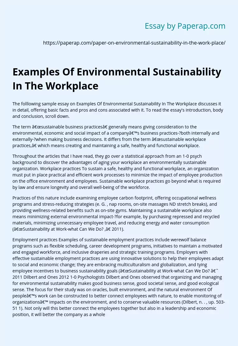 Examples Of Environmental Sustainability In The Workplace