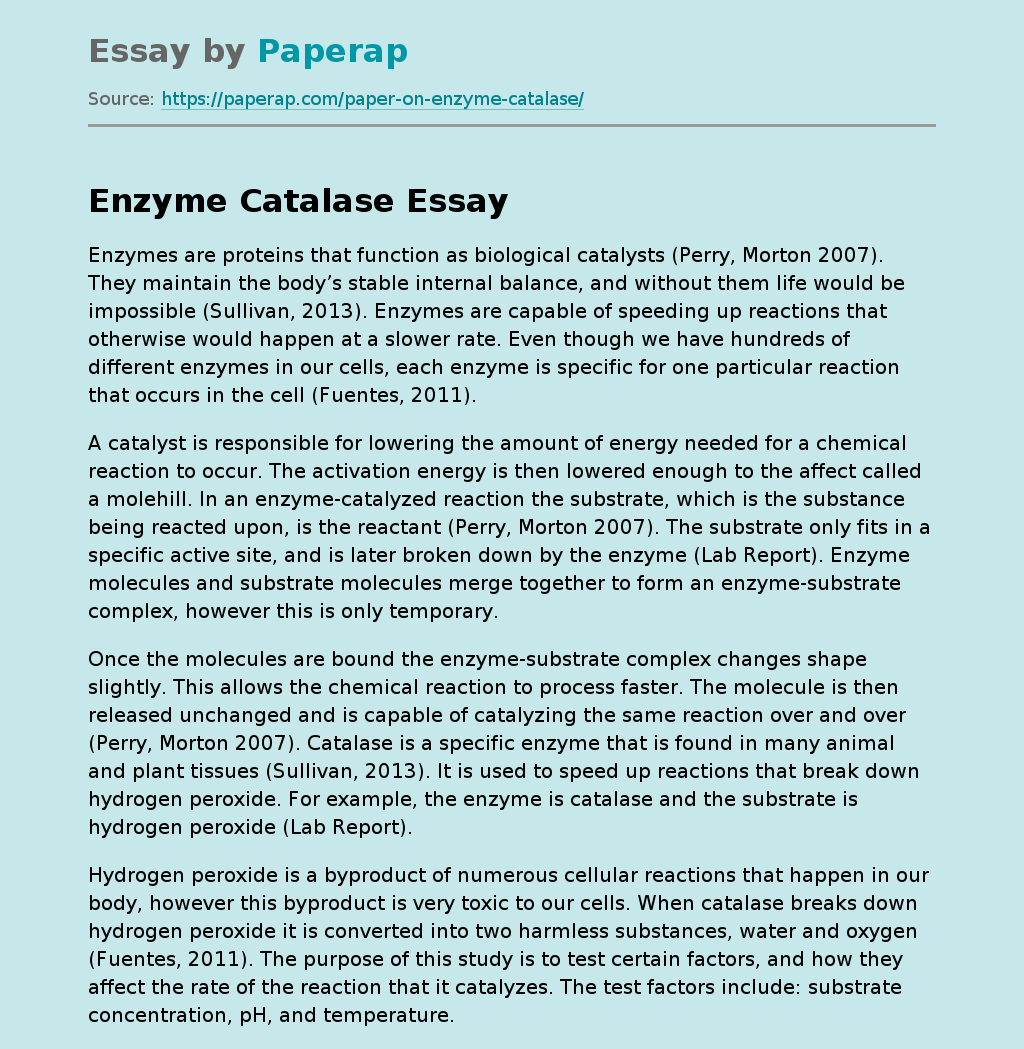 Enzyme Catalase