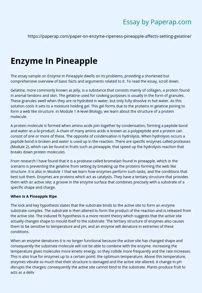 Enzyme In Pineapple