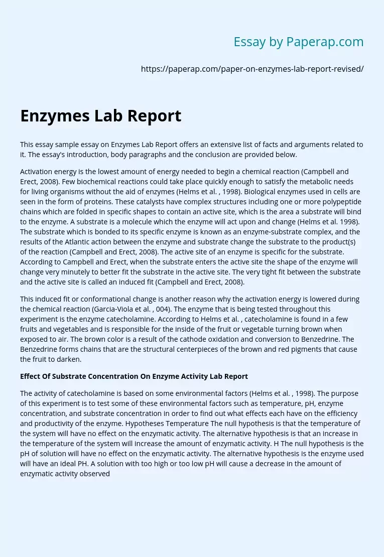 Реферат: Enzymes Essay Research Paper Enzymes are proteins