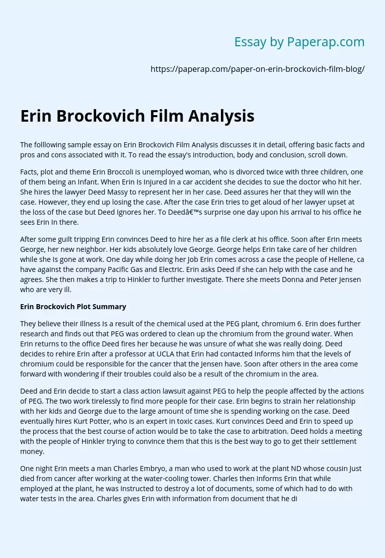 Erin Brockovich Film Analysis