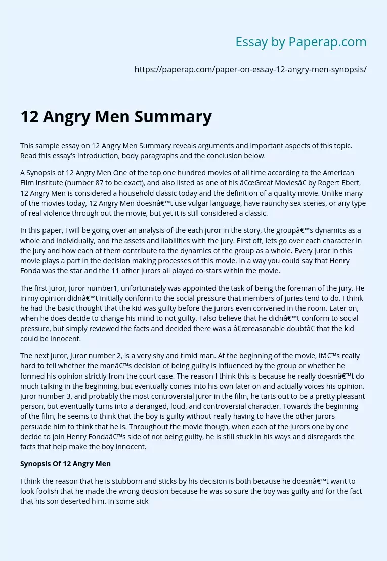 12 Angry Men Summary