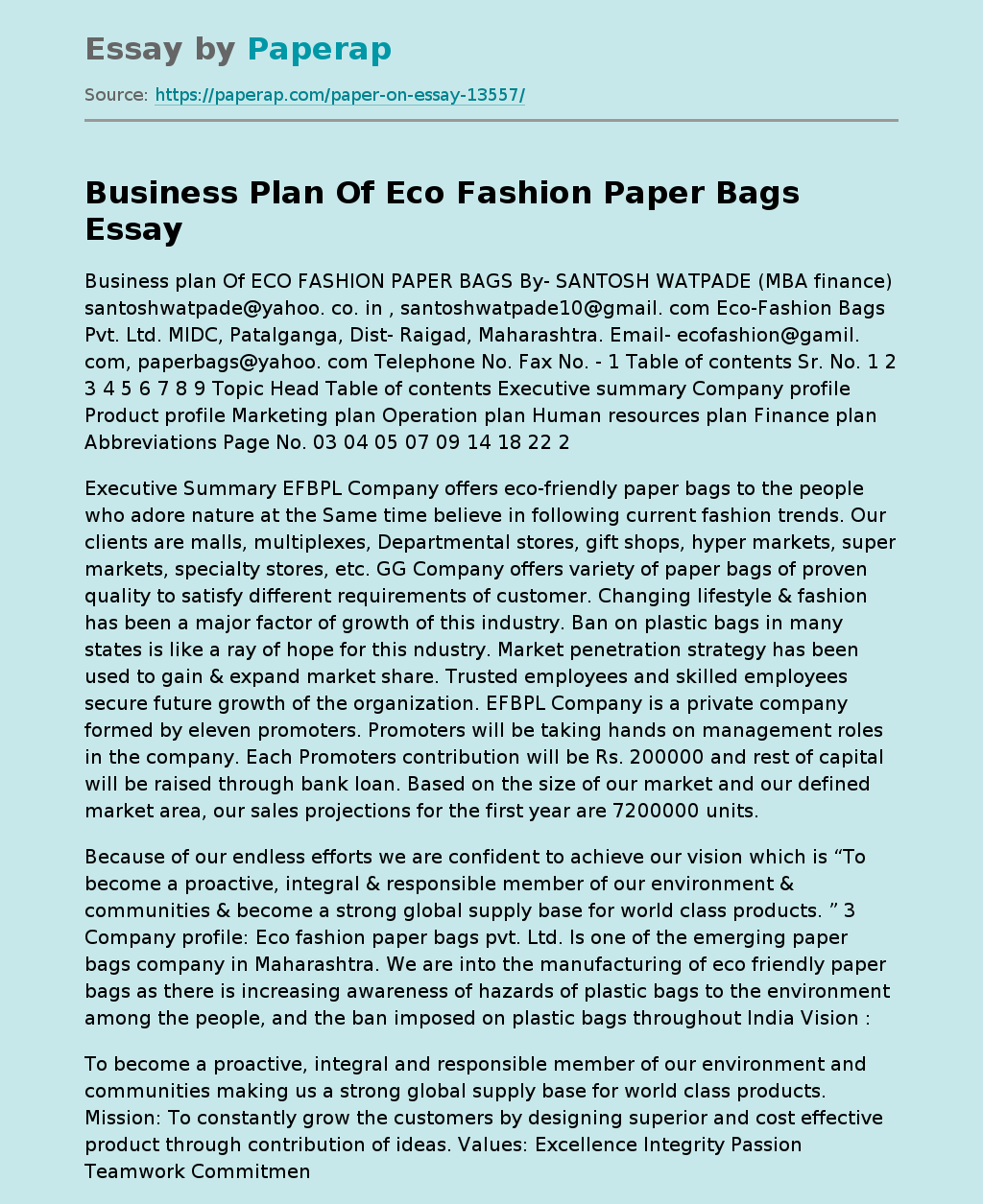 Business Plan Of Eco Fashion Paper Bags