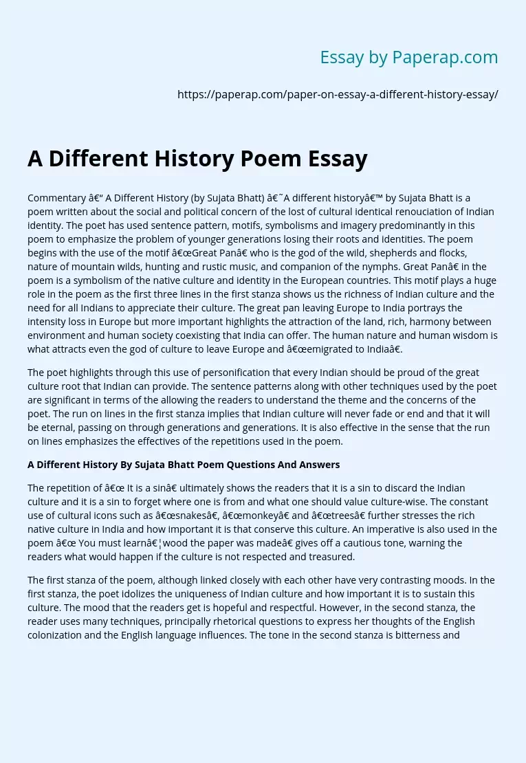 A Different History Poem Essay