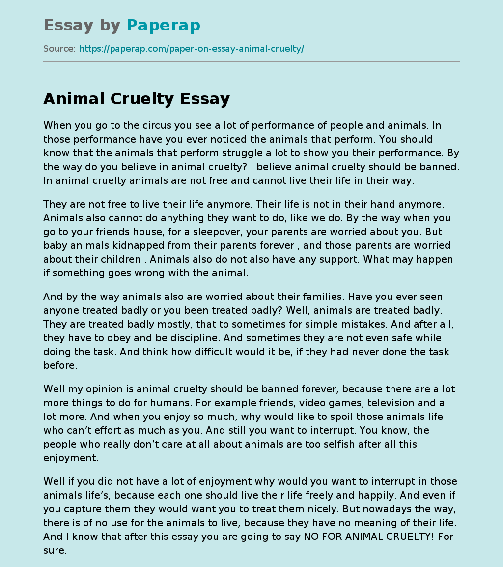 Animal Cruelty Free Essay Example