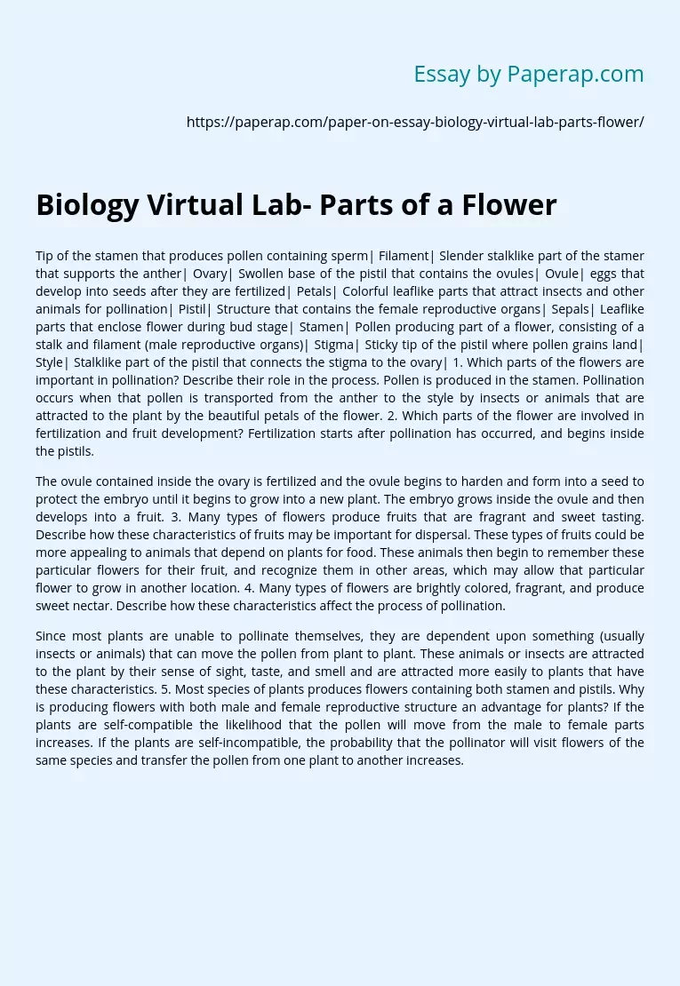 Biology Virtual Lab- Parts of a Flower