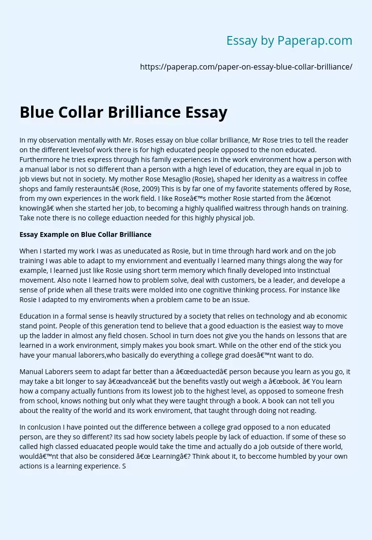 Blue Collar Brilliance Essay