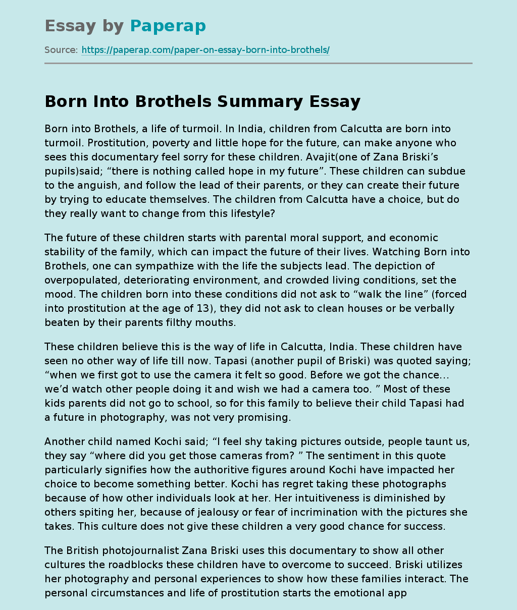Born Into Brothels Summary