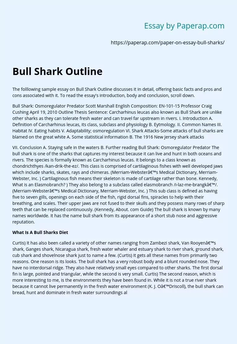 Basic Information on Bull Shark Outline