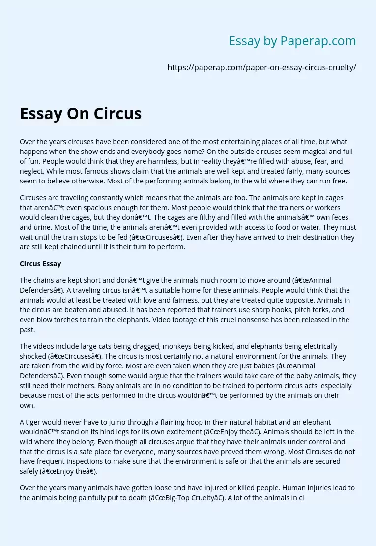 Essay On Circus