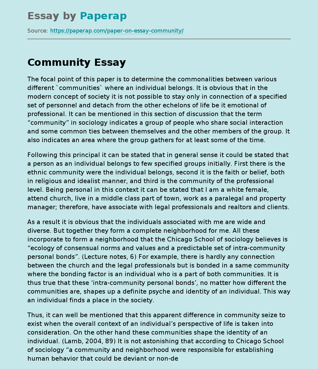 Essay About Different Communities Free Essay Example