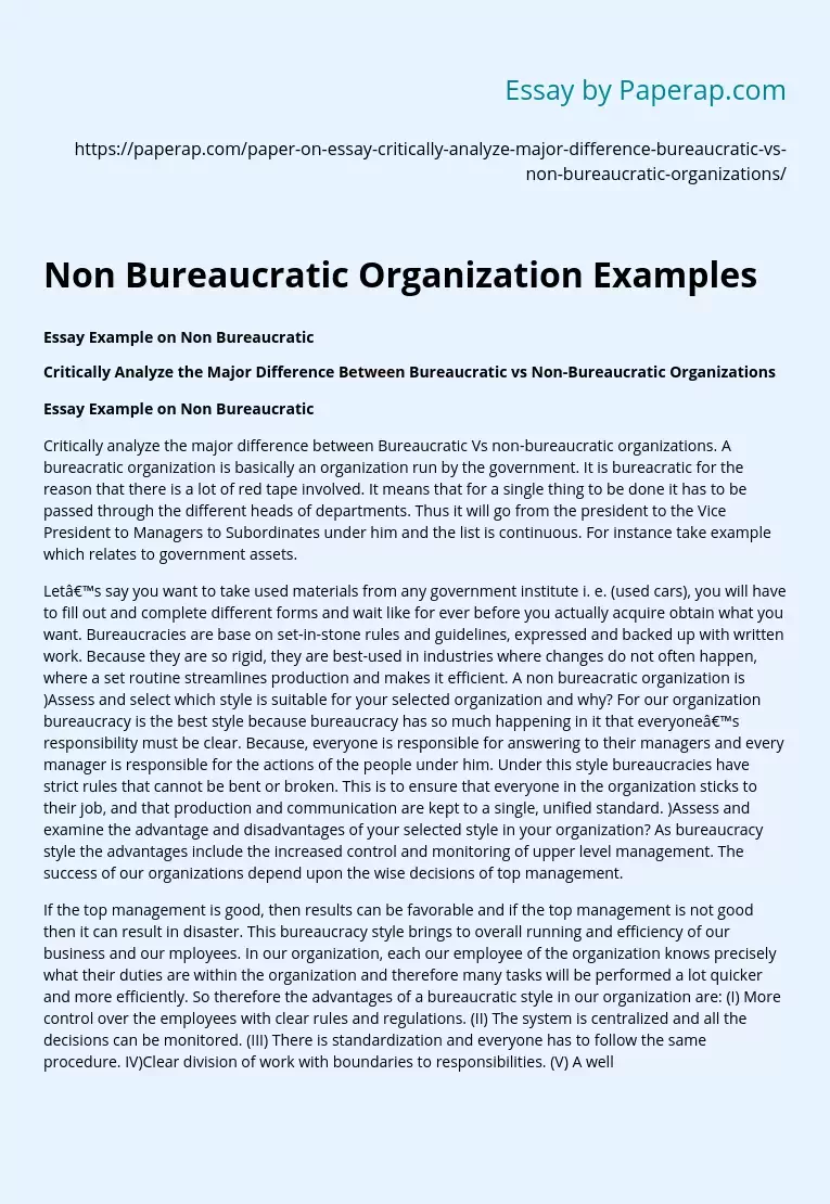 Non Bureaucratic Organization Examples