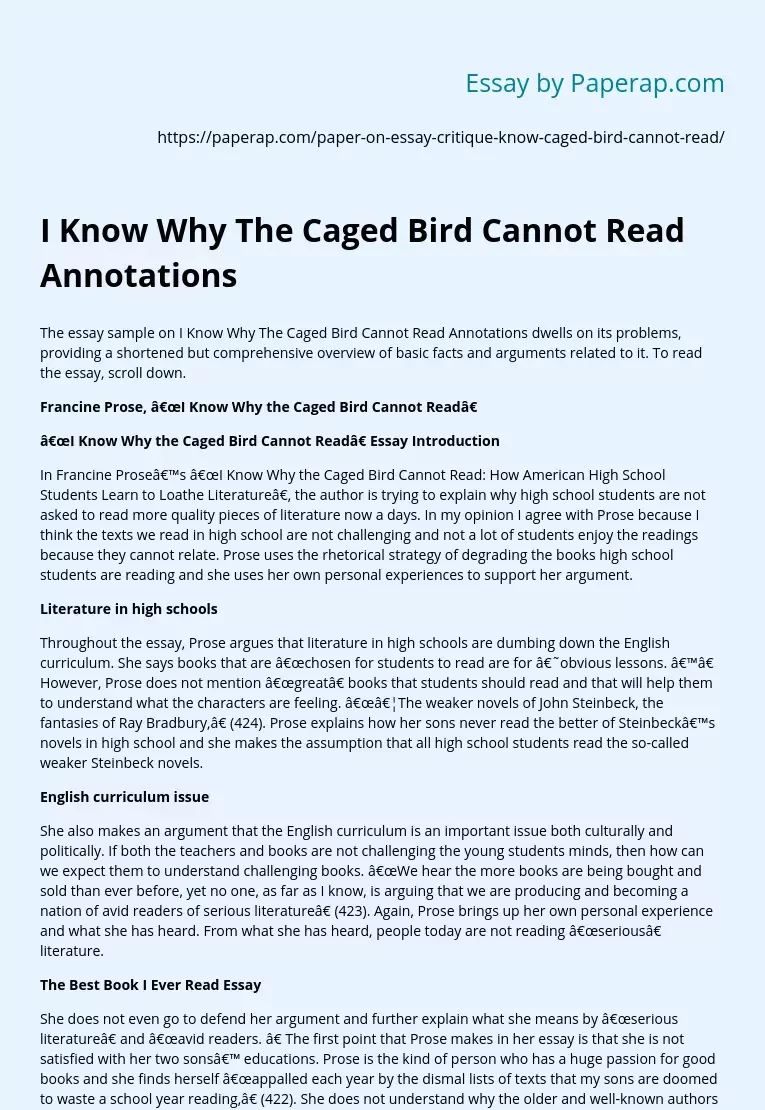 I Know Why The Caged Bird Cannot Read Annotations
