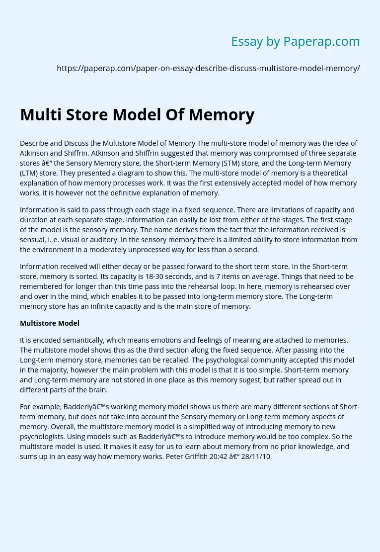 Describe and Discuss the Multistore Model of Memory