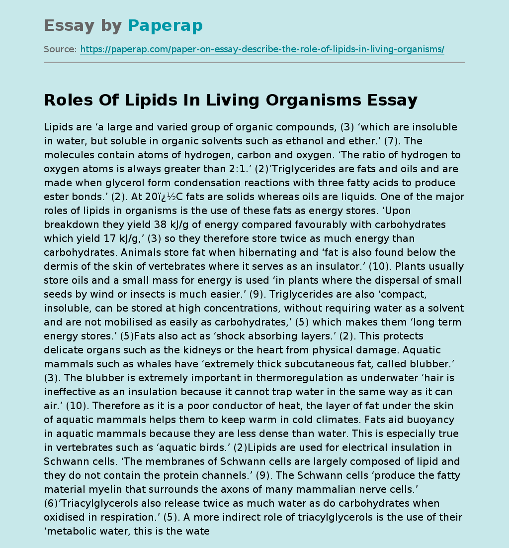 roles-of-lipids-in-living-organisms-free-essay-example